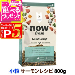 y12/5 vGg[ő100|CgobNziEtbV ObhO[r[ X[u[h T[Vs 800g  NOW FRESH  hbOt[h hbN hC  VjA ^yD