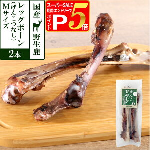 y12/5 vGg[ő100|CgobNz  Y Y 񂱂₶̂ Y쐶bO{[ M(񂱂Ȃ2{)   WrG JVE J[  