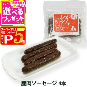 y12/5 vGg[ő100|CgobNz L  Y Y 񂱂₶̂ \[Z[W 4{    Y Fsgp VjA WrGyZz