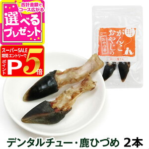 yX[p[SALE!vGg[łP5{z  Y Y 񂱂₶̂ f^`[EЂÂ 2{  Y L     K ݂ 