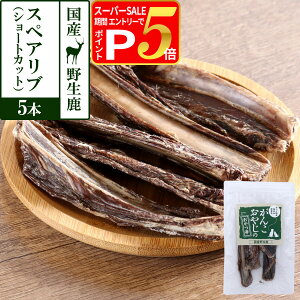 y12/5 vGg[ő100|CgobNz  Y Y 񂱂₶̂ Y쐶̃XyAu V[gJbg 5{ ǐՉ\[ւ̂ݑisjW