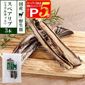 y12/5 vGg[ő100|CgobNz  Y Y 񂱂₶̂ Y쐶̃XyAu ~hJbg 3{ WrG J[ Y ΂獜 JVE f