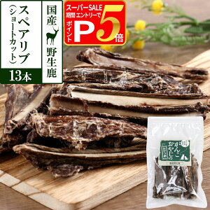 y12/5 vGg[ő100|CgobNz  Y Y 񂱂₶̂ Y쐶̃XyAu V[gJbg 13{ WrG J[ Y ΂獜 JVE