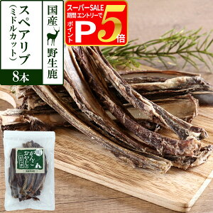 y12/5 vGg[ő100|CgobNz  Y Y 񂱂₶̂ Y쐶̃XyAu ~hJbg 8{ WrG J[ Y ΂獜 JVE f