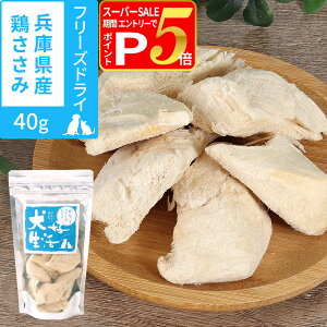 y12/5 vGg[ő100|CgobNz L Y Y D 񂱂ȃt[YhC ɌY{ 40g  J[ ᎉb  gbsO Tv h{⏕ Ƃ `