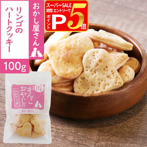 y12/5 vGg[ő100|CgobNz L  Y Y 񂱂₶̂ S̃n[gNbL[ 100g g[c NbL[  yZz