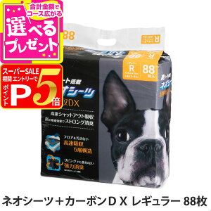 y12/5 vGg[ő100|CgobNzR[`[ lIV[cDXJ[{ M[ 88 ybg gC V[g ؂Ƃ[ M[V[c ybg V[c V[g ybgpi gC