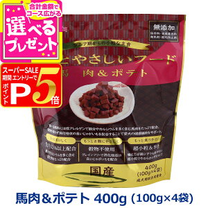 y12/5 vGg[ő100|CgobNzybc[g Ƃ₳t[h n|eg 400g  Z~CXg hbOt[h hbNt[h VjA  YyDz