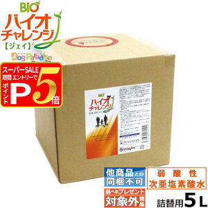 yX[p[SALE!vGg[łP5{zyeύXzf_ lpybgpLۍ oCI`WJ 5L l֗p ߃^Cv _f_ f_  _