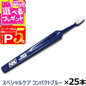 y12/10 vGg[ő100|CgobNzTepe ey uV XyVPA RpNgu[×25{(/)(  nuV f^PA   ybg \h