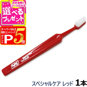 y12/5 vGg[ő100|CgobNzTepe ey uV XyVPA bh×1{(  nuV f^PA   ybg \h SPECIAL CARE)(yam)yZz