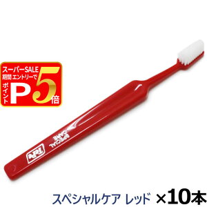 y12/5 vGg[ő100|CgobNzTepe ey uV XyVPA bh×10{(  nuV f^PA   ybg \h SPECIAL CARE ܂Ƃߔ)(yam)yZz