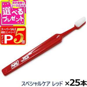 y12/5 vGg[ő100|CgobNzTepe ey uV XyVPA bh×25{(/)(  nuV f^PA   ybg \h SPECIAL CARE 