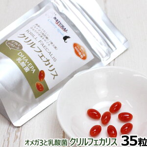 y12/5 vGg[ő100|CgobNzi`n[xXg NtFJX 35yZz