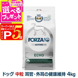 yX[p[SALE!vGg[łP5{ztHc@10 FORZA10 GR[ANeBu ~fBA  4.0kg  tHc@10 ǁEǑNێ HÖ@H  O jIC ANeBuC