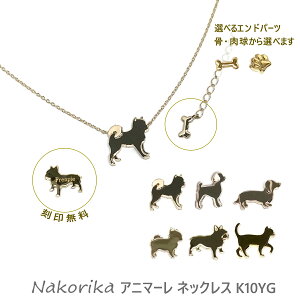 K10YG  lbNX Aj}[ nakorika   I[_[Ch  [J[  L ANZT[ 킢 `[t Aj} a v[g t`uhbO  l[ g