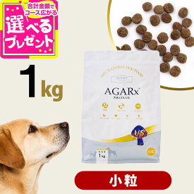 アーテミス アガリクスI/S 小粒 1kg ドッグ ドック 犬 ペット 幼犬 仔犬 パピー 子犬 成犬 アダルト 高齢犬 シニア 老犬 シニア犬 イミューン【D】