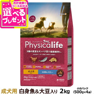 ypbP[WύXztBWJCt Physicalife p g哤 2kgi500g×4܂֗̕ȏpbNjyDz