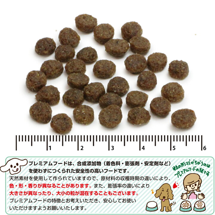 楽天市場】【粒・形状に不揃いあり】パーフェクション サーモン 小粒6kg Perfection ドッグフード(無添加 高齢犬 子犬 シニア パピー ペットフード ドックフード ドッグフード 毛艶 体重管理 プレミアム プレミアムフード) : ドッグパラダイスぷらすニャン