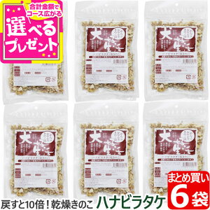  Y Y D 񂱂₶̂̂ nir^Pîj hbNt[h  hbOt[h ybg ̂ LmR nir^PyZz