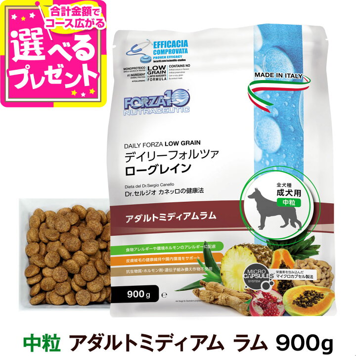 楽天市場】【9/1 要エントリー最大100％ポイントバック】フォルツァ10 