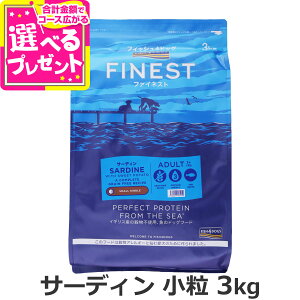 tBbV4hbO t@ClXg T[fB  3kg   t[h hbN sgp OCt[ Vv 킵 CV  A_g GI FISH4DOGSyDz