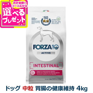 フォルツァ10 FORZA10 インテスティナルアクティブ ミディアム 中粒 4.0kg 犬 フォルツァ10 胃腸の健康維持 食事療法食 胃 腸 消化 排便 すい臓 アクティブライン アダルト 成犬 フォルツァディエ