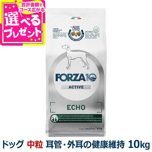 フォルツァ10 FORZA10 エコーアクティブ ミディアム 中粒 10kg 犬 フォルツァ10 耳管・外耳の健康維持 食事療法食 耳 外耳 ニオイ アクティブライン 魚 アダルト 成犬 フォルツァディエチ【D】
