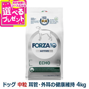 フォルツァ10 FORZA10 エコーアクティブ ミディアム 中粒 4.0kg 犬 フォルツァ10 耳管・外耳の健康維持 食事療法食 耳 外耳 ニオイ アクティブライン 魚 アダルト 成犬 フォルツァディエチ【D】