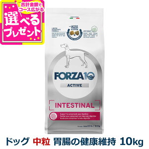 フォルツァ10 FORZA10 インテスティナルアクティブ ミディアム 中粒 10kg 犬 フォルツァ10 胃腸の健康維持 食事療法食 胃 腸 消化 排便 すい臓 アクティブライン アダルト 成犬 フォルツァディエ