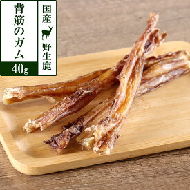 犬 おやつ 無添加 国産 がんこおやじのおやつ亭 国産野生鹿背筋のガム 40g ジビエ 低カロリー 無添加 しか シカ 犬 おやつ ペット ドッグ 犬用おやつ ペットフード【D】
