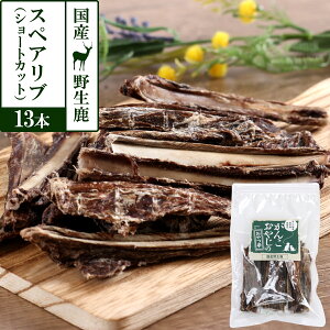   Y Y 񂱂₶̂ Y쐶̃XyAu V[gJbg 13{ WrG J[ Y ΂獜 JVE f^  VJ   ybg hbO 