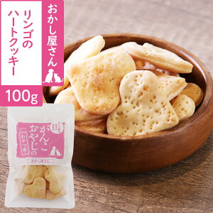  L  Y Y 񂱂₶̂ S̃n[gNbL[ 100g g[c NbL[  yZz