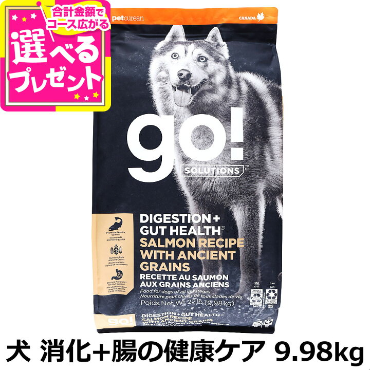 楽天市場】【キャンペーン中12月25日まで】GO! ゴー ソリューションズ 