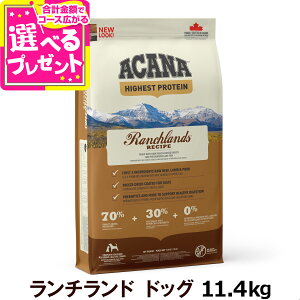 y12/10 vGg[ő100|CgobNzyj[AύXzAJi nCGXgveC `hhbOVs 11.4kg hbNt[h sgp OCt[ yDz