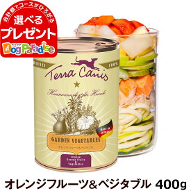 (2024年3月26日価格改定)テラカニス ガーデンベジタブル オレンジフルーツ＆ベジタブル缶 400g