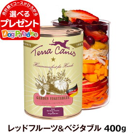 テラカニス ガーデンベジタブル レッドフルーツ＆ベジタブル缶 400g【D】