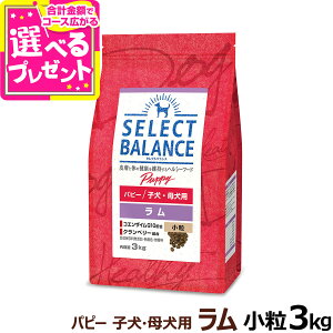 セレクトバランス パピー ラム小粒3kg 犬 ドッグフード 羊肉 子犬 母犬 ドライ 仔犬 授乳期 生後1才未満 妊娠 ミルクプロテイン品 ドック 小型犬 中型犬 アレルギーに配慮【D】