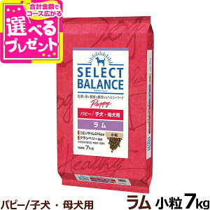 セレクトバランス パピー ラム 小粒 7kg 犬 ドッグフード 羊肉 子犬 母犬 ドライ 仔犬 授乳期 生後1才未満 妊娠 ミルクプロテイン ドック 小型犬 中型犬【D】