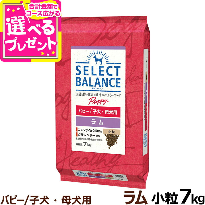 楽天市場】【11/25 要エントリー最大100％ポイントバック】セレクト 