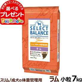 【順次、成分・給与量変更】セレクトバランス スリム ラム 小粒 7kg 成犬 1才以上成犬 減量 ダイエット 避妊 去勢 犬 ドッグフードドライ 低脂肪 ヘルシー品 ドック 肥満