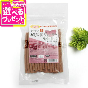 hN^[Y`CX [ۃW[L[ Ǝ|hbOt[h pi hbNt[h p p ̂   Mtg Ic W[L[ WbL[ ybgt[