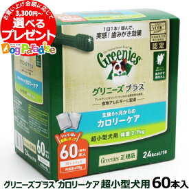楽天市場 ペット パラダイス ガムの通販