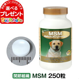 ネイチャーベット MSM 250粒(動物用 サプリメント 栄養補助食品 ペットサプリ 健康維持 健康食品 健康補助食品 関節サポート ペットグッズ)