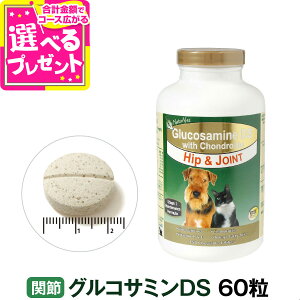 lC`[xbg ORT~DS 60(Tv  L Tvg hbO Lbg N⏕Hi Lp ybgTv Tv ֐߃T|[g Lpi)yZz