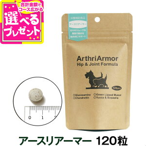 (j[A)lC`[xbg A[XA[}[ 120 ֐߃PA ORT~ ֐߉ ֐߃T|[g VjA   L Tvg Tv hbO Lbg ybg h{⏕Hi NHi