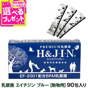 yJIN500~N[|zyj[AύXzPremium_H&JINip90jyZz