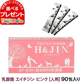 【JIN500円引きクーポン】Premium乳酸菌H&JIN（人用90包）【Z】