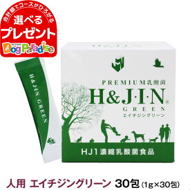 Premium乳酸菌H&JIN グリーン 人用 30包 乳酸菌 サプリ サプリメント エイチジン 人間用 高品質乳酸菌 快便 快腸 腸活【Z】