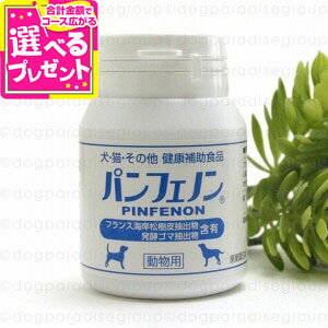 XPANE ptFm 120(Tv  L ybg Tvg hbO Lbg Ղ hbN h{ N ⏕Hi ybgp Lp ybgTv Tv)yZz